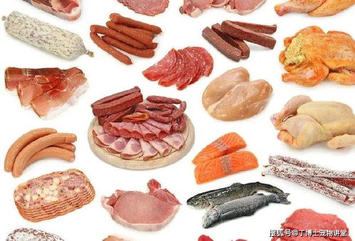 宠物食品中动物性蛋白原料 肉骨粉的质量评价与应用指南