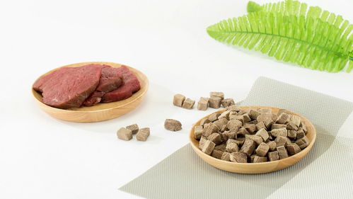 粮言宠物零食 不用挑的放心选择，宠物食品新标杆