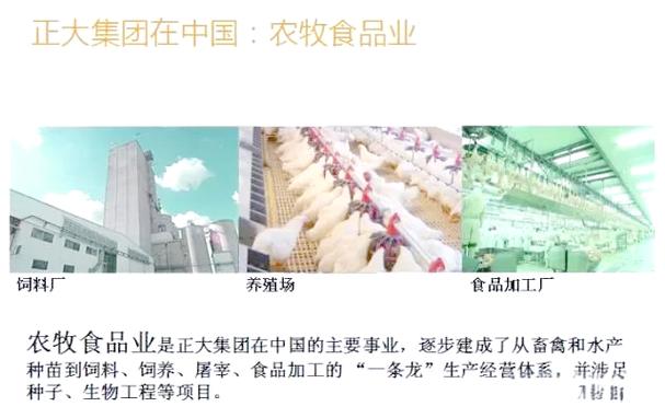 正大食品青岛工厂 自动化生产与高品质的典范